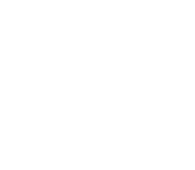 Vector
